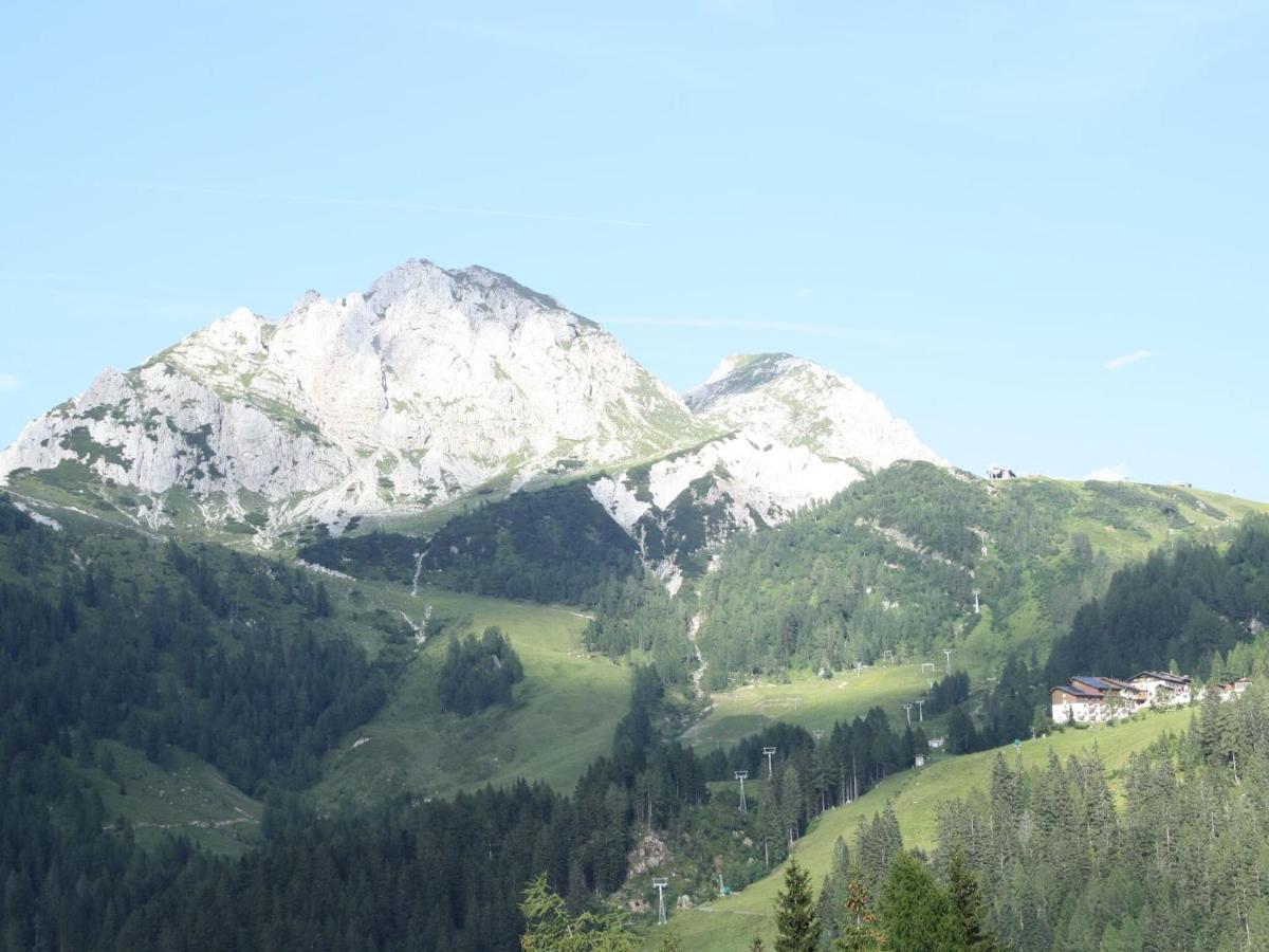 Chalet In Nassfeld Ski Area In Carinthia Sonnenalpe Nassfeld Luaran gambar